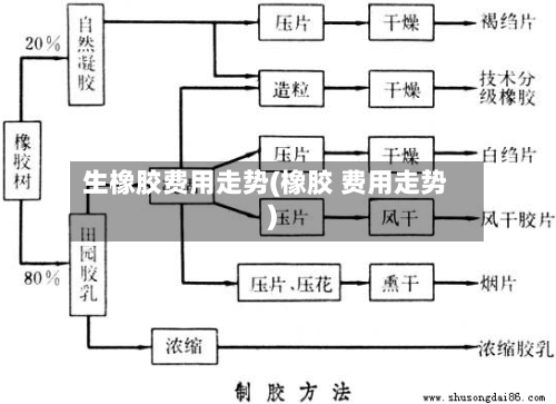生橡胶费用走势(橡胶 费用走势)