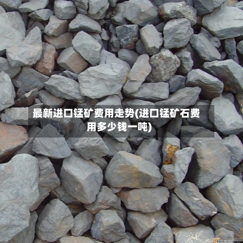 最新进口锰矿费用走势(进口锰矿石费用多少钱一吨)