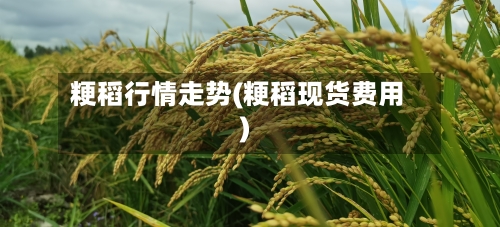 粳稻行情走势(粳稻现货费用)
