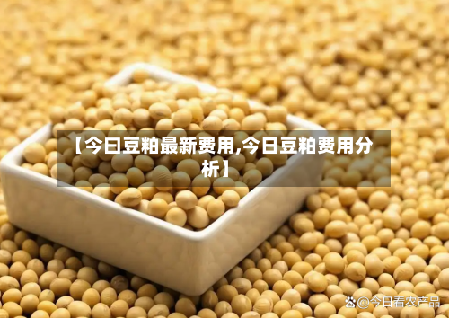 【今曰豆粕最新费用,今日豆粕费用分析】