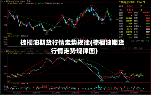 棕榈油期货行情走势规律(棕榈油期货行情走势规律图)