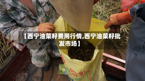 【西宁油菜籽费用行情,西宁油菜籽批发市场】