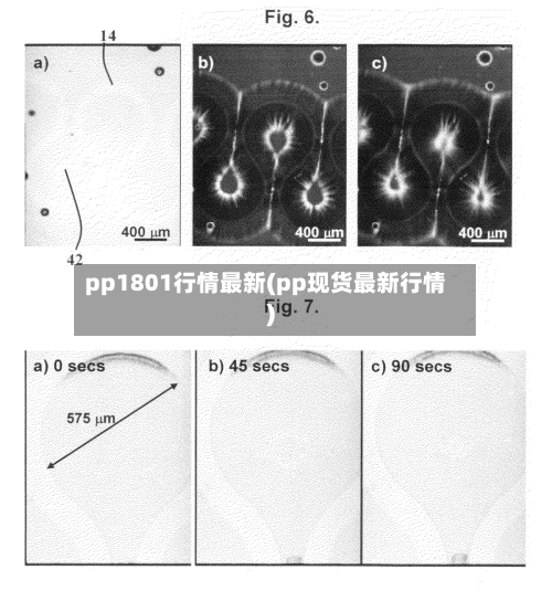 pp1801行情最新(pp现货最新行情)