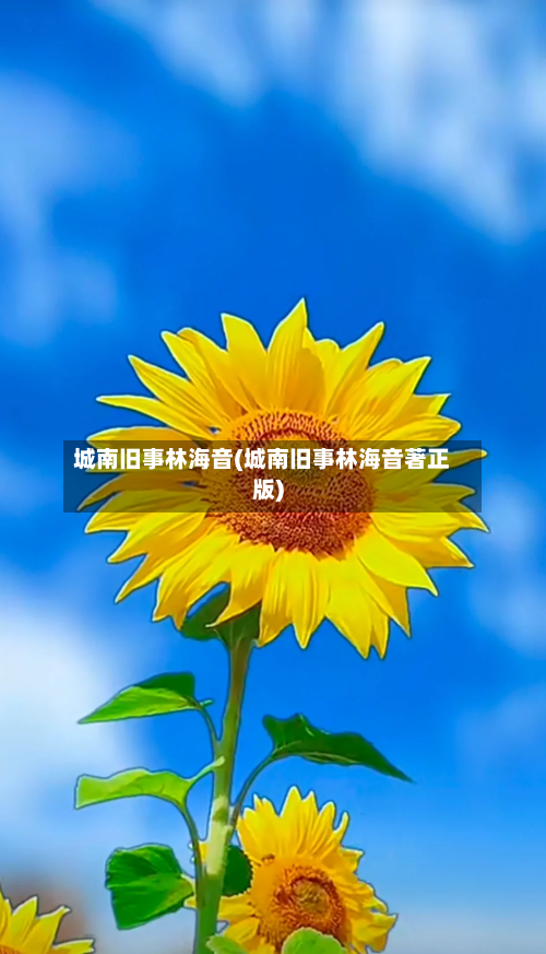 城南旧事林海音(城南旧事林海音著正版)