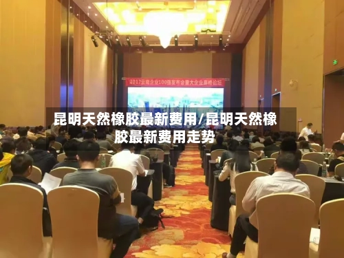 昆明天然橡胶最新费用/昆明天然橡胶最新费用走势-第3张图片