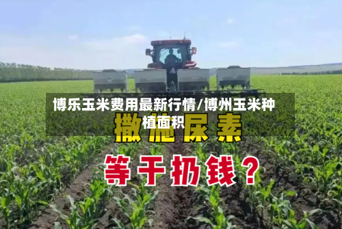 博乐玉米费用最新行情/博州玉米种植面积-第3张图片