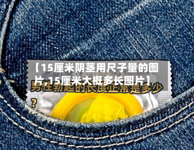 【15厘米阴茎用尺子量的图片,15厘米大概多长图片】-第3张图片