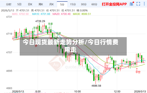 今日现货最新走势分析/今日行情费用走