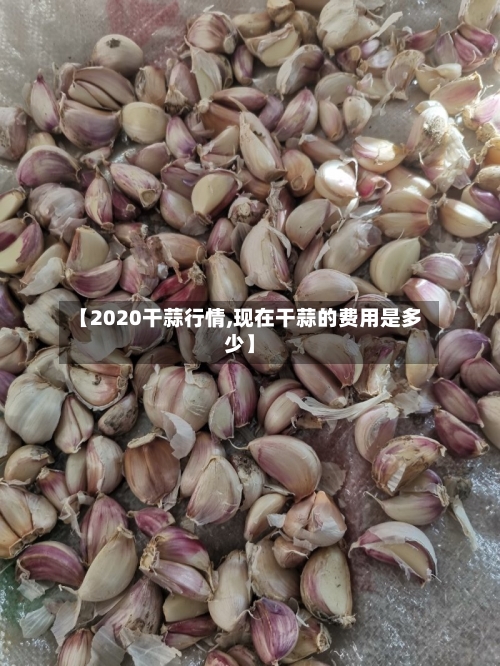【2020干蒜行情,现在干蒜的费用是多少】
