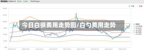 今日白很费用走势图/白勺费用走势-第2张图片