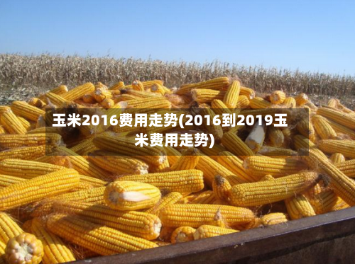 玉米2016费用走势(2016到2019玉米费用走势)