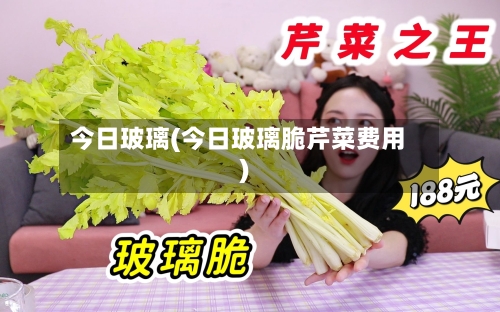 今日玻璃(今日玻璃脆芹菜费用)