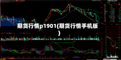 期货行情p1901(期货行情手机版)-第3张图片