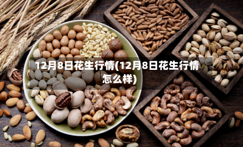 12月8日花生行情(12月8日花生行情怎么样)-第2张图片