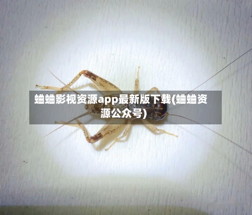 蛐蛐影视资源app最新版下载(蛐蛐资源公众号)