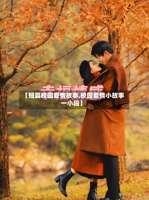 【短篇校园爱情故事,校园爱情小故事一小段】-第2张图片