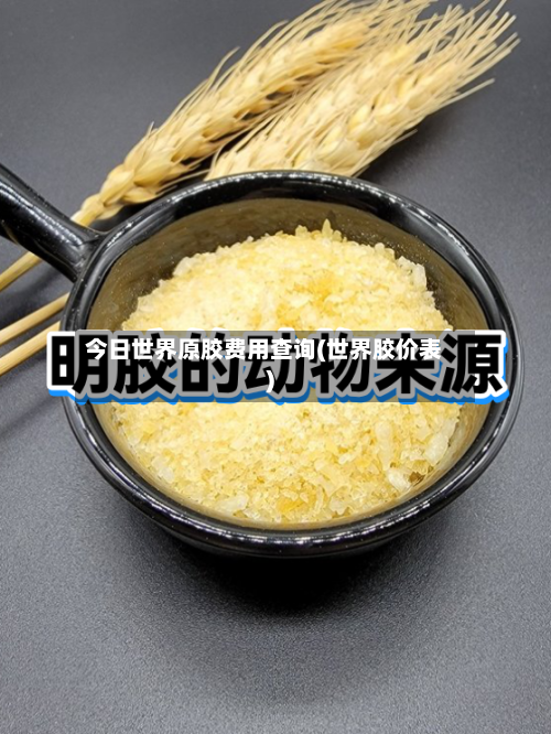 今日世界原胶费用查询(世界胶价表)