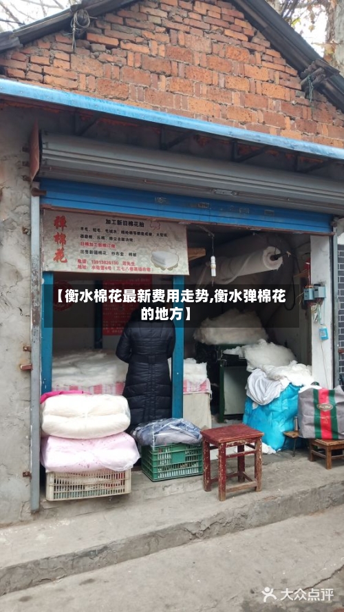 【衡水棉花最新费用走势,衡水弹棉花的地方】-第2张图片