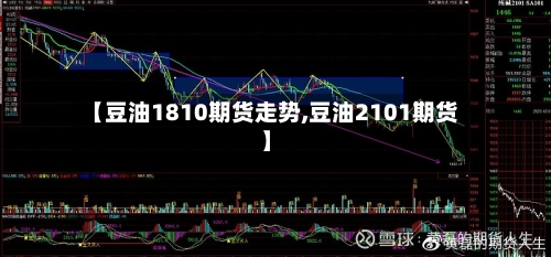 【豆油1810期货走势,豆油2101期货】