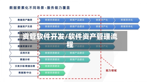 资管软件开发/软件资产管理流程