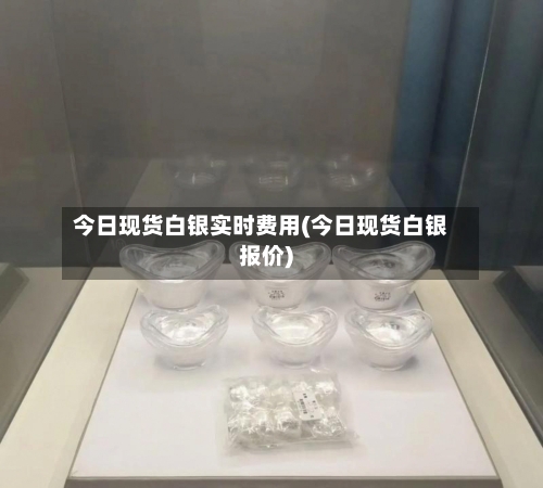 今日现货白银实时费用(今日现货白银报价)-第3张图片