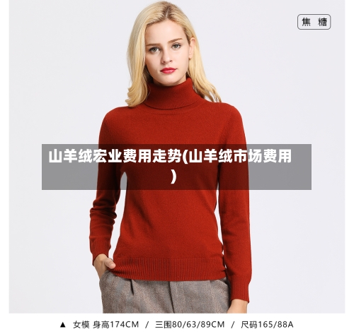 山羊绒宏业费用走势(山羊绒市场费用)