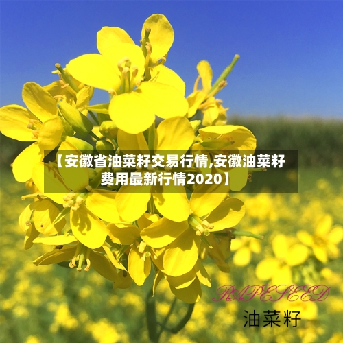 【安徽省油菜籽交易行情,安徽油菜籽费用最新行情2020】-第3张图片