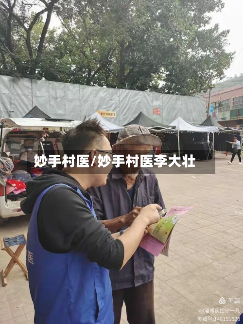 妙手村医/妙手村医李大壮