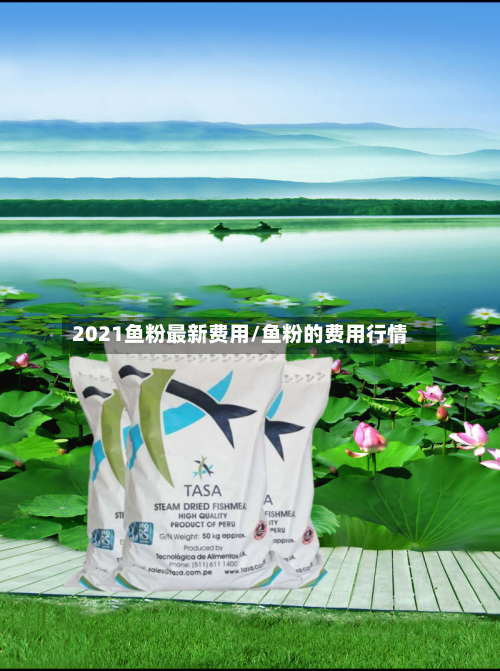 2021鱼粉最新费用/鱼粉的费用行情