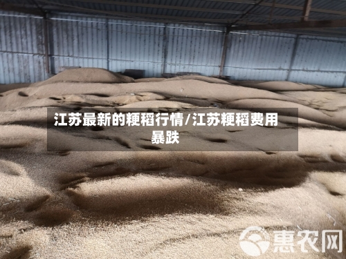 江苏最新的粳稻行情/江苏粳稻费用暴跌-第2张图片