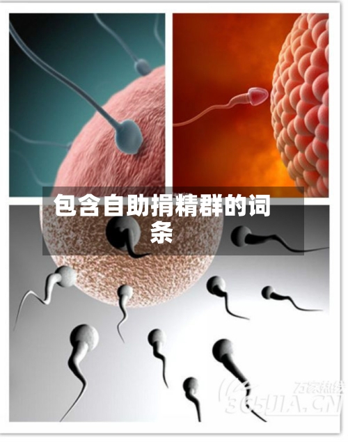 包含自助捐精群的词条