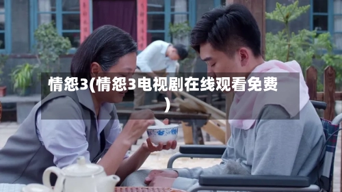情怨3(情怨3电视剧在线观看免费)-第2张图片