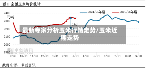 最新专家分析玉米行情走势/玉米近期走势