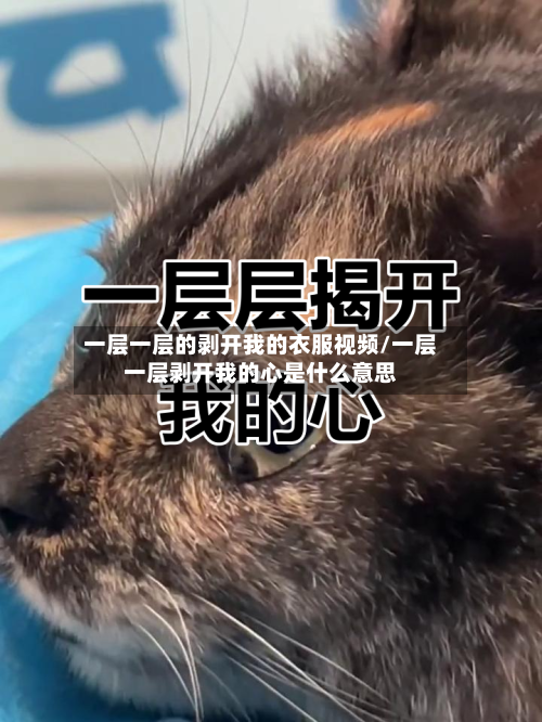 一层一层的剥开我的衣服视频/一层一层剥开我的心是什么意思