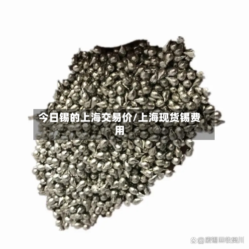 今日锡的上海交易价/上海现货锡费用