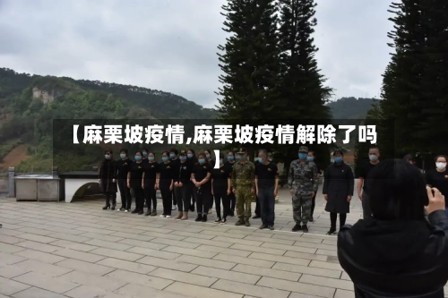 【麻栗坡疫情,麻栗坡疫情解除了吗】-第2张图片