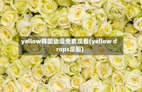 yellow韩国动漫免费观看(yellow drops漫画)
