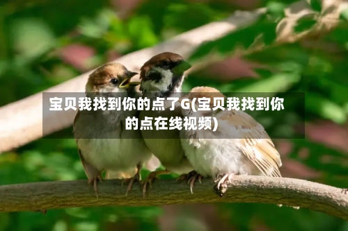 宝贝我找到你的点了G(宝贝我找到你的点在线视频)-第2张图片