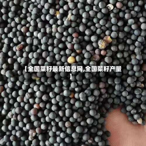 【全国菜籽最新信息网,全国菜籽产量】