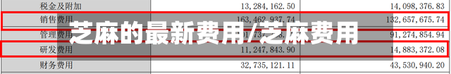 芝麻的最新费用/芝麻费用表