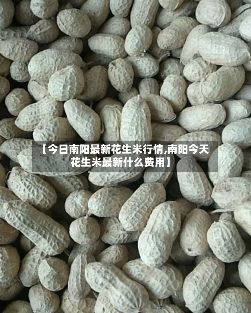 【今日南阳最新花生米行情,南阳今天花生米最新什么费用】