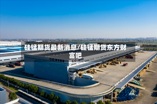 硅锰期货最新消息/硅锰期货东方财富吧-第2张图片