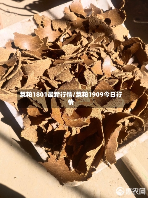 菜粕1801最新行情/菜粕1909今日行情-第3张图片