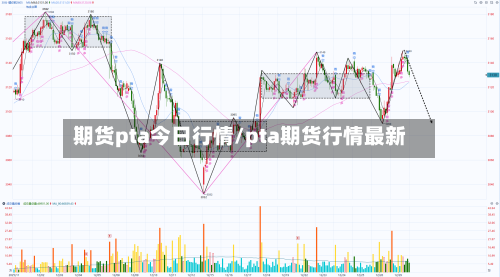 期货pta今日行情/pta期货行情最新