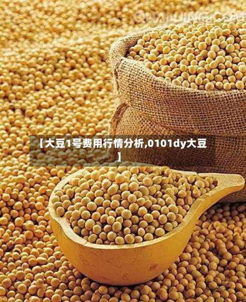 【大豆1号费用行情分析,0101dy大豆】-第2张图片