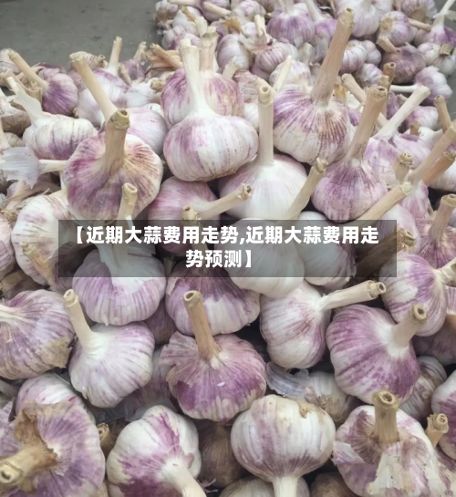 【近期大蒜费用走势,近期大蒜费用走势预测】-第2张图片