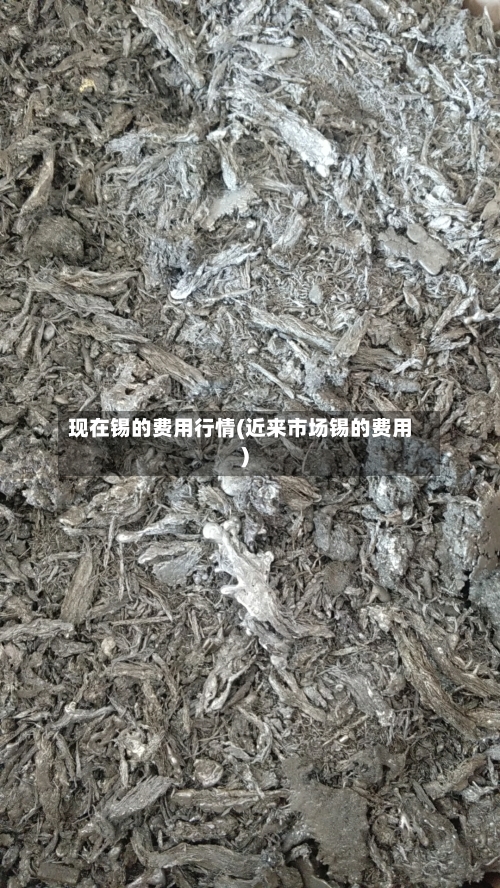 现在锡的费用行情(近来市场锡的费用)-第3张图片