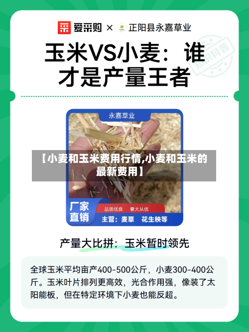 【小麦和玉米费用行情,小麦和玉米的最新费用】-第2张图片
