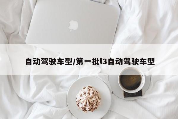 自动驾驶车型/第一批l3自动驾驶车型